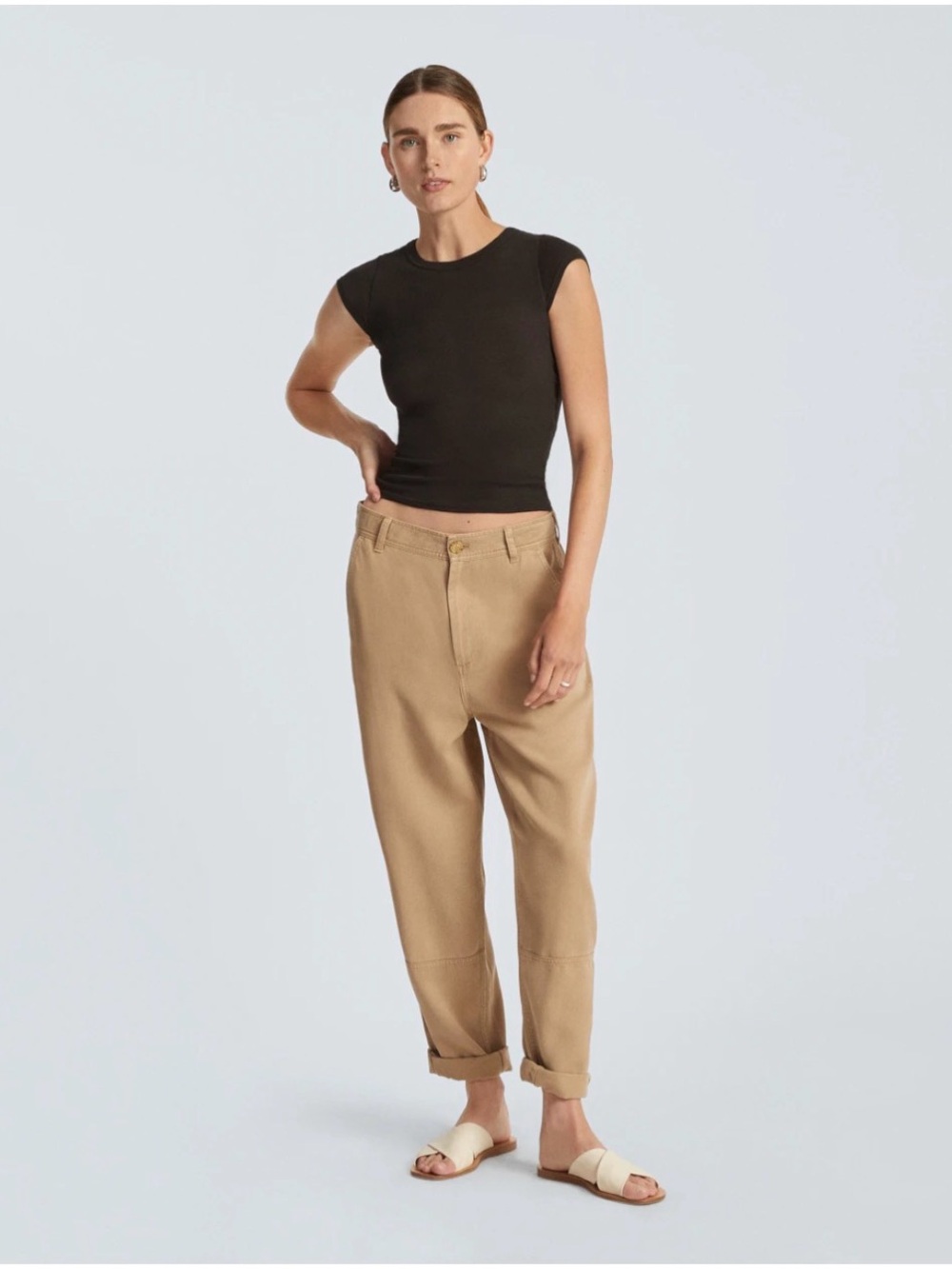NWT Everlane The Chino in Dark Khaki
